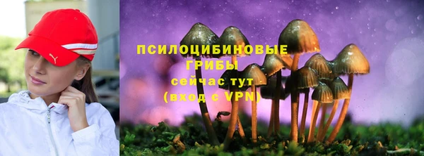 стаф Абаза