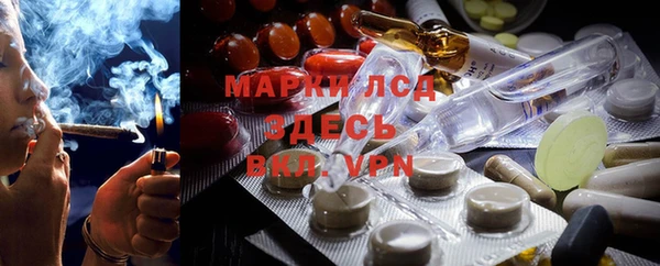 стаф Абаза