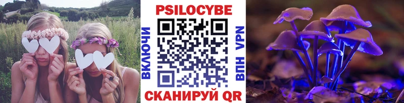 Галлюциногенные грибы Psilocybe  Ильский 